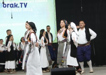 14. Međunarodne večeri folklora “Vionica 2025.”