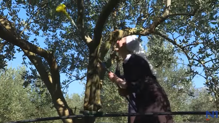 Časne sestre iz Mostara spojile vjeru i rad