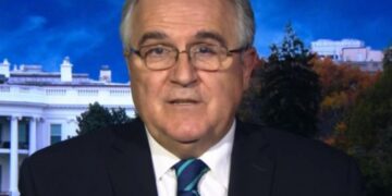 Puljić: U američkim analizama spominje se model tri suverena entiteta u BiH