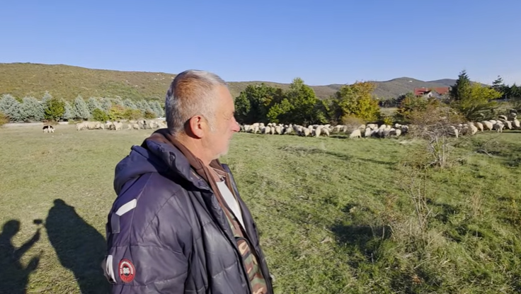 Zoran već 23 godine s ovcama na brdima iznad Mostara